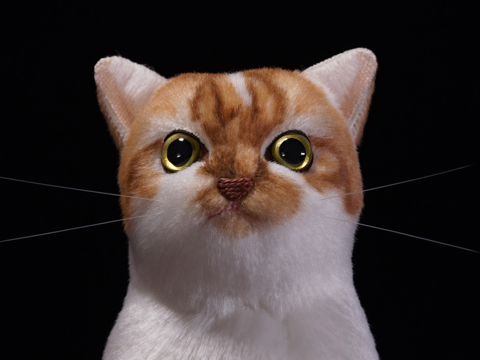 猫 ぬいぐるみ オーダーメイド cat