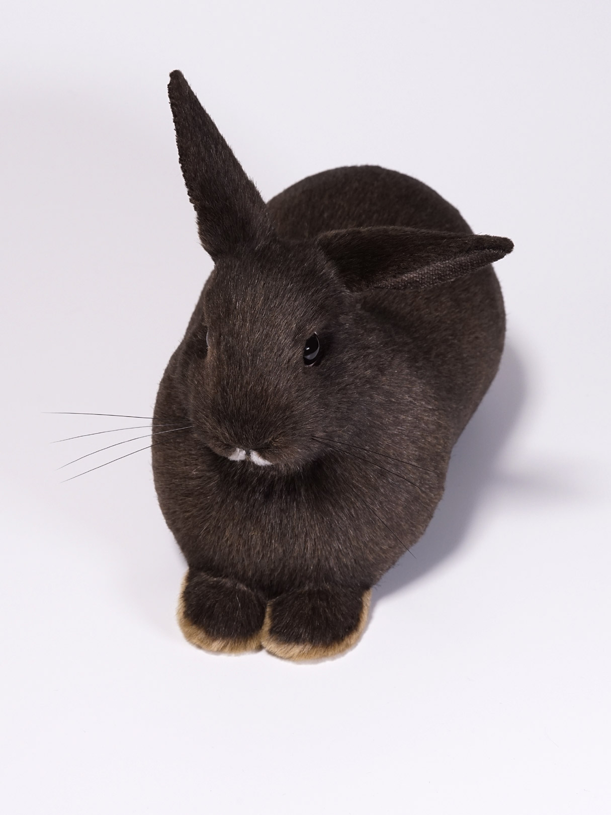 片耳を立てたウサギのぬいぐるみ
ナキムシコムシ
オーダーメイド