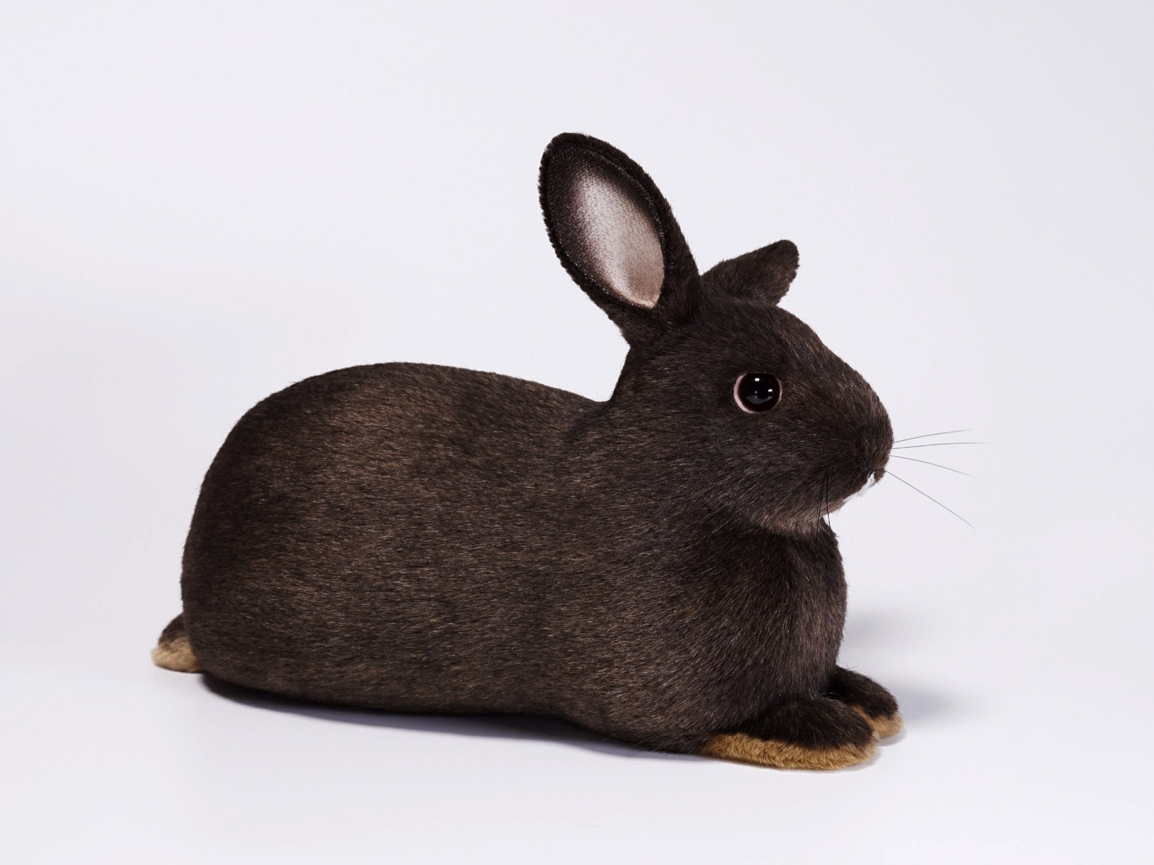 片耳を立てたウサギのぬいぐるみ
ナキムシコムシ
オーダーメイド