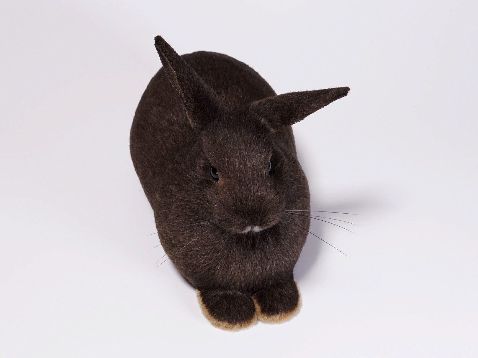 片耳を立てたウサギのぬいぐるみ
ナキムシコムシ
オーダーメイド
