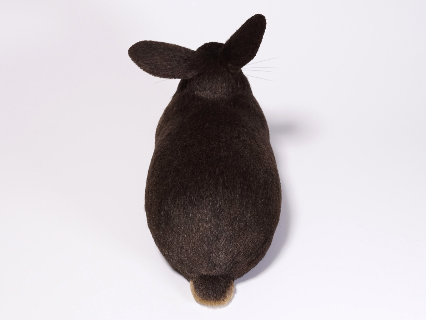 片耳を立てたウサギのぬいぐるみ
ナキムシコムシ
オーダーメイド