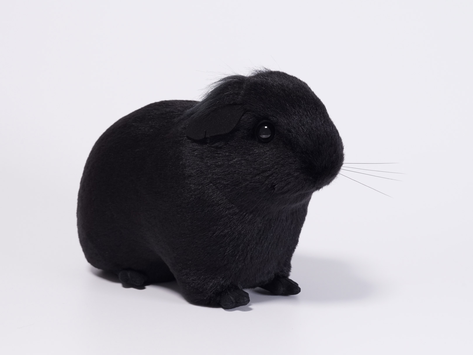 モルモット　オーダーメイド　ぬいぐるみ　黒