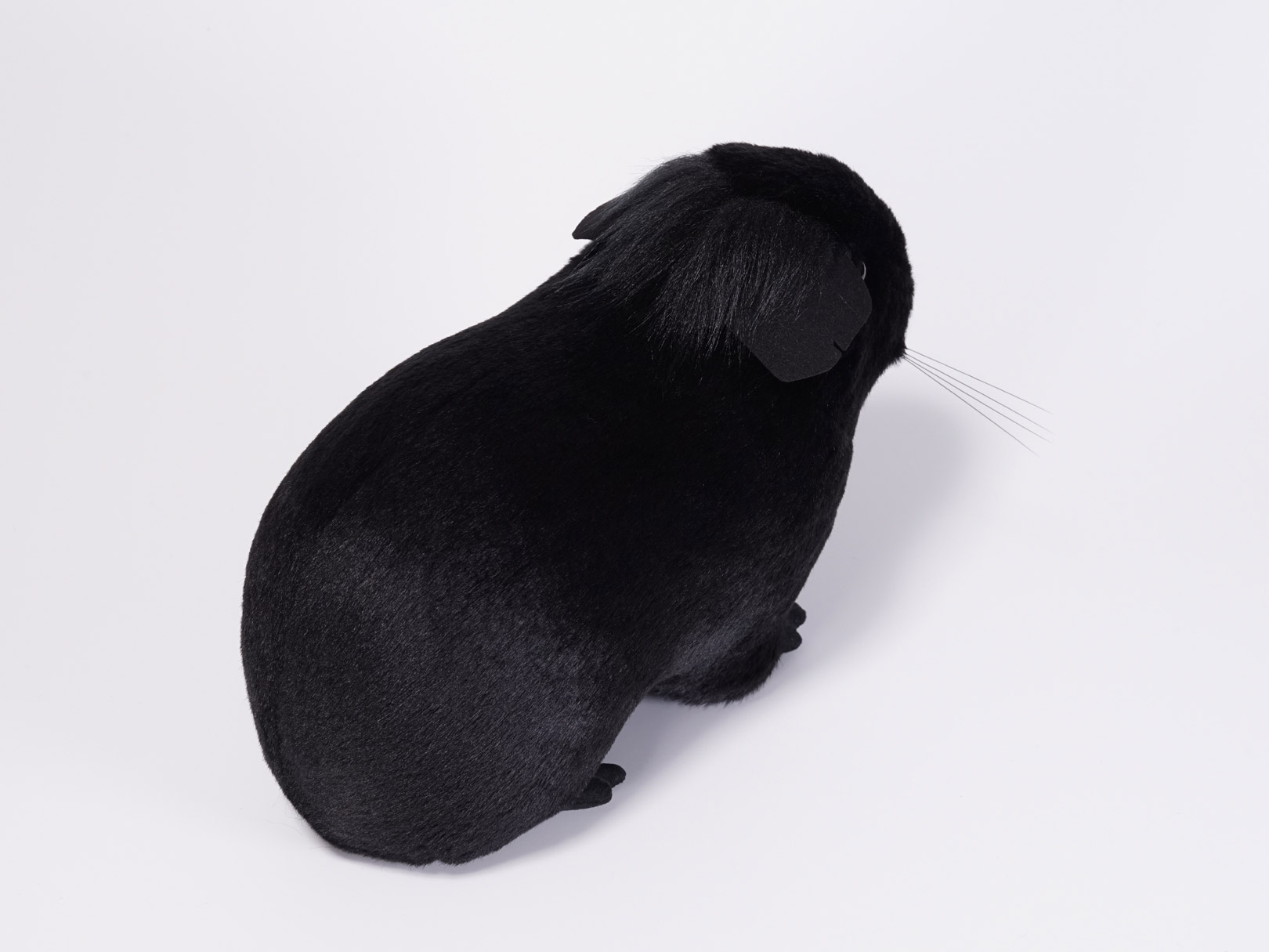 モルモット　オーダーメイド　ぬいぐるみ　黒