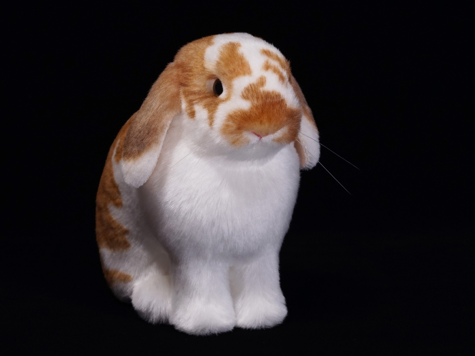ロップイヤー　ウサギ　お座り　ぬいぐるみ　ホーランドロップ