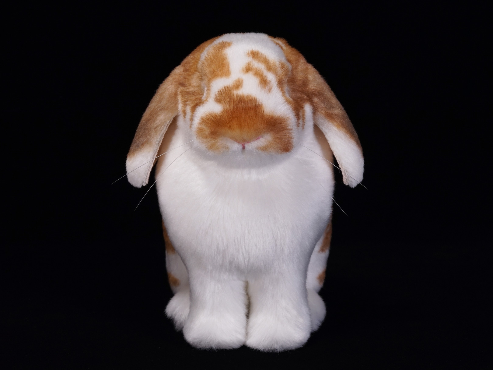 ロップイヤー　ウサギ　お座り　ぬいぐるみ　ホーランドロップ