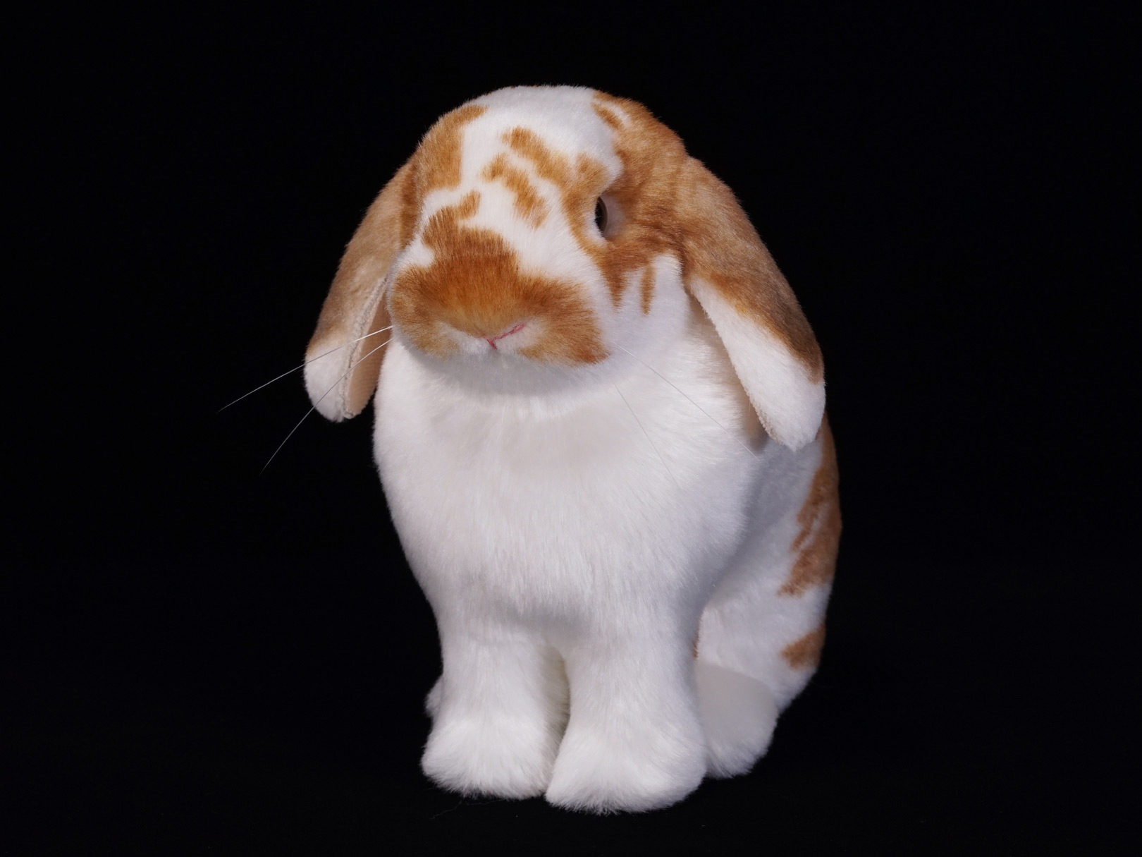 ロップイヤー　ウサギ　お座り　ぬいぐるみ　ホーランドロップ