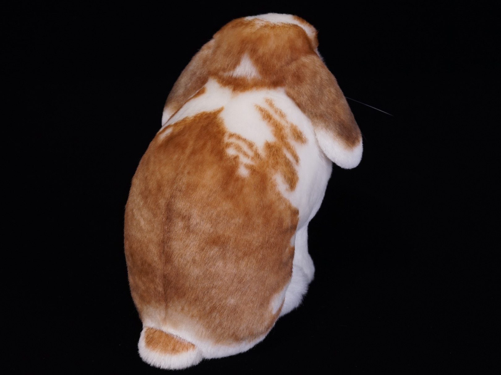 ロップイヤー　ウサギ　お座り　ぬいぐるみ　ホーランドロップ