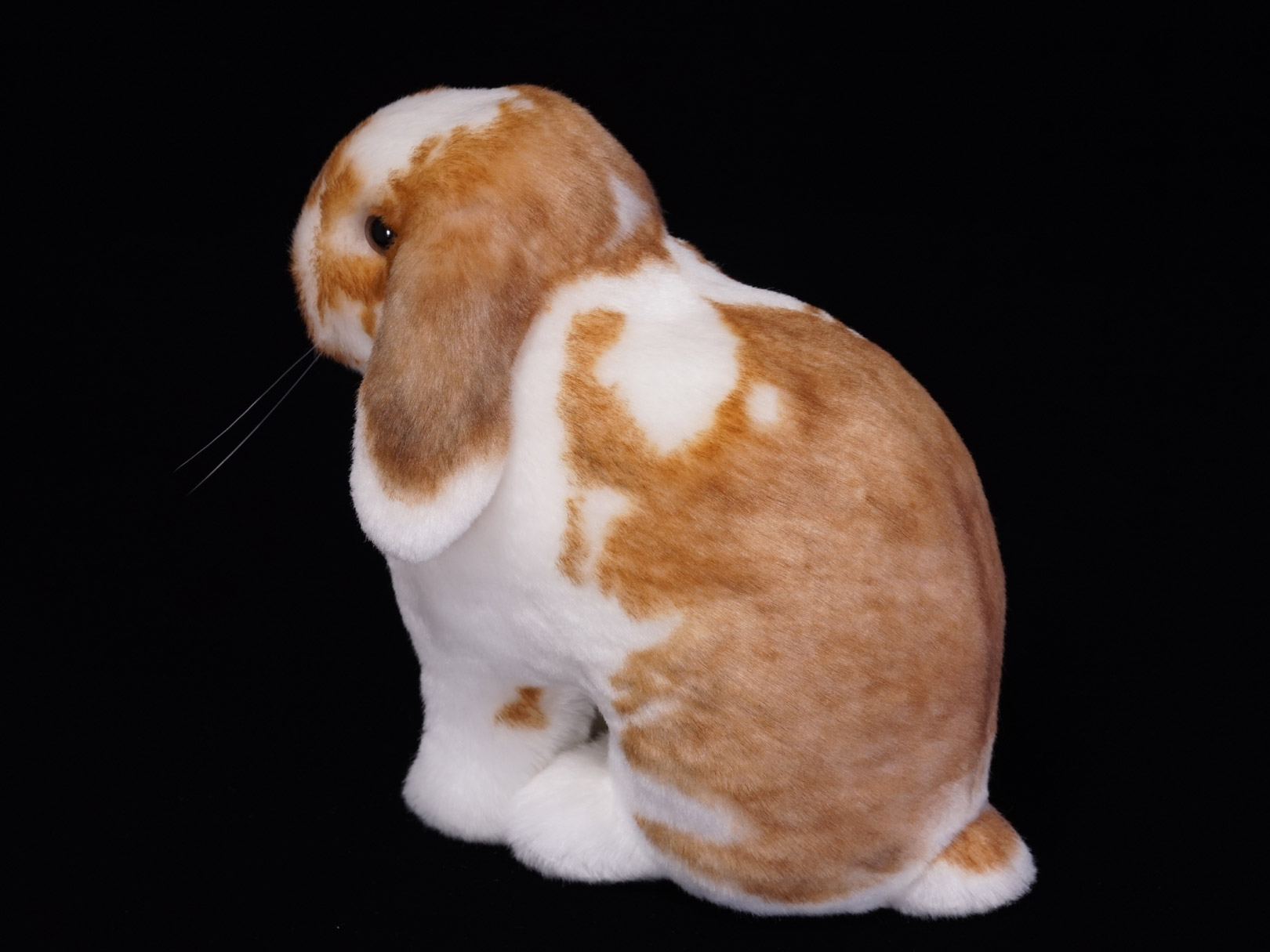 ロップイヤー　ウサギ　お座り　ぬいぐるみ